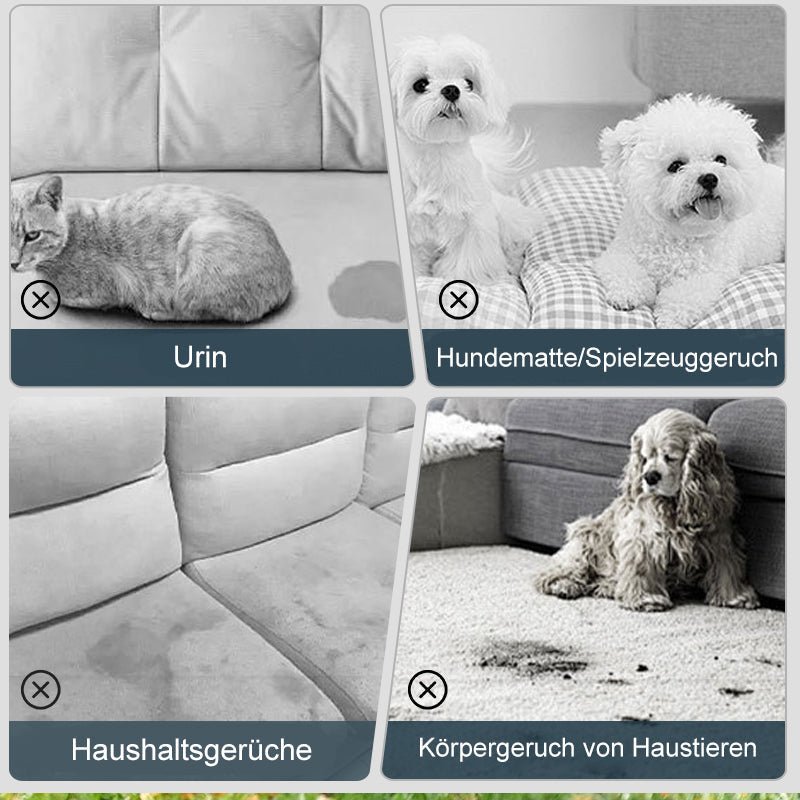 Geruchsentferner-Spray für Haustiere🐕🌟💥💥Befristetes Angebot: 50% Rabatt auf Bestellungen – Bild 2