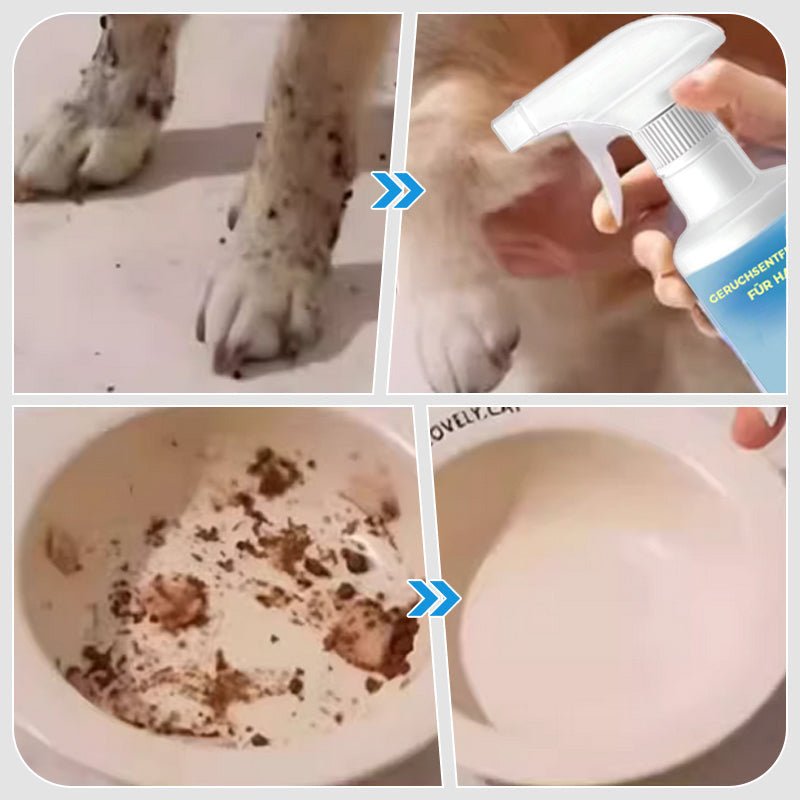 Geruchsentferner-Spray für Haustiere🐕🌟💥💥Befristetes Angebot: 50% Rabatt auf Bestellungen – Bild 7